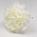 Flamenco Artificial Carnations. Sevilla Model. White 4.132€ #5041916109BCOCR03